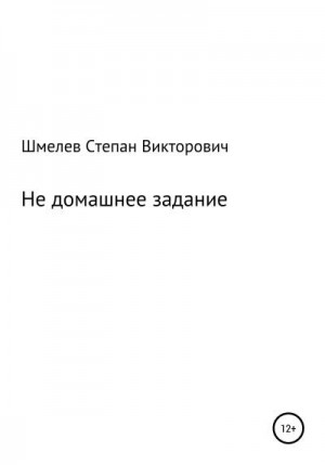 Шмелев Степан - Не домашнее задание