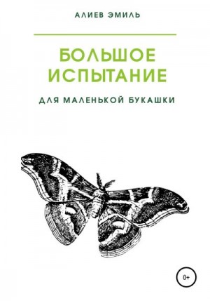 Алиев Эмиль - Большое испытание для маленькой букашки