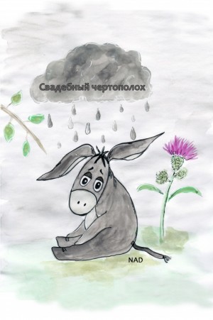 NAD - Свадебный чертополох