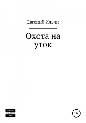 Ильин Евгений - Охота на уток