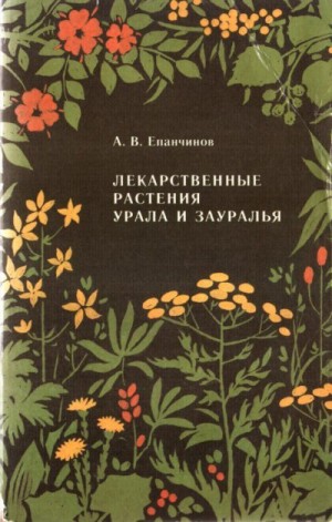 Епанчинов Анатолий - Лекарственные растения Урала и Зауралья