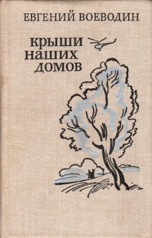 Воеводин Евгений - Крыши наших домов