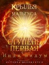 Видум Инди - Ступень первая