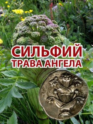 l_eonid - Сильфий - трава ангела