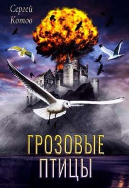 Котов Сергей - Грозовые Птицы