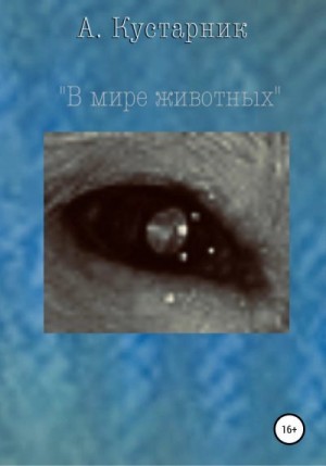 Кустарник А. - В мире животных