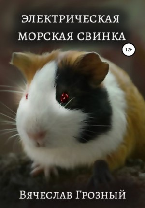 Грозный Вячеслав - Электрическая морская свинка