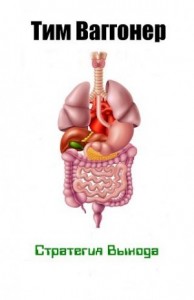 Стратегия выхода