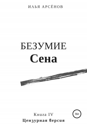 Арсёнов Илья - Безумие Сена