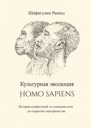 Шафигулин Рашид - Культурная эволюция Homo sapiens. История изобретений: от освоения огня до открытия электричества