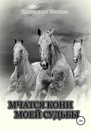 Еланцев Константин - Мчатся кони моей судьбы