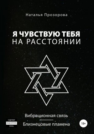 Прозорова Наталья - Я чувствую тебя на расстоянии. Вибрационная связь/Близнецовые пламена