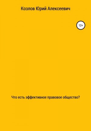 Козлов Юрий Андреевич - Что есть эффективное правовое общество?