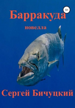 Бичуцкий Сергей - Барракуда