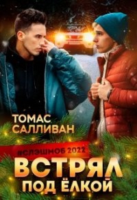 Встрял под ёлкой