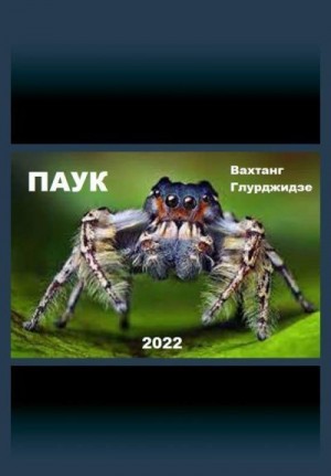 Глурджидзе Вахтанг - Паук