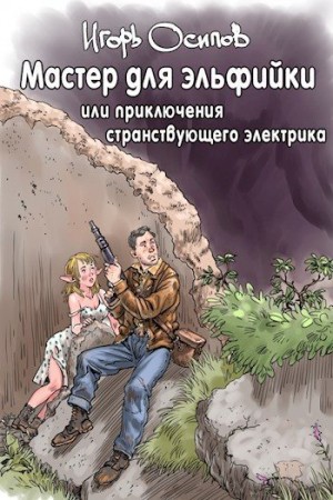 cкачать книгу Игорь Осипов Мастер для эльфийки, или приключения странствующего электрика