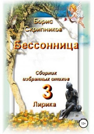 Скрипников Борис - Бессонница. Сборник избранных стихов. Книга 3. Лирика