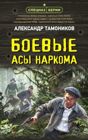 Тамоников Александр - Боевые асы наркома