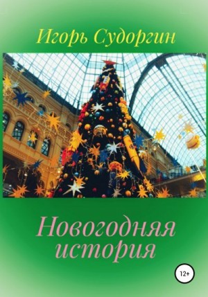 Судоргин Игорь - Новогодняя история