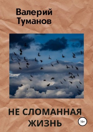 Туманов Валерий - Не сломанная жизнь