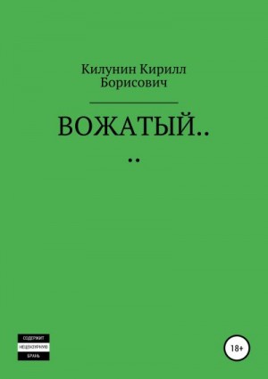 Килунин Кирилл - Вожатый…