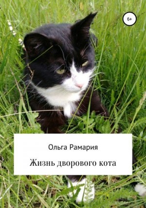 Рамария Ольга - Жизнь дворового кота