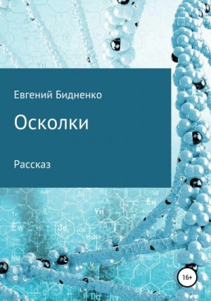 Бидненко Евгений - Осколки