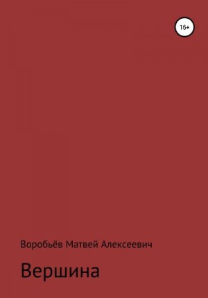 Воробьёв Матвей - Вершина