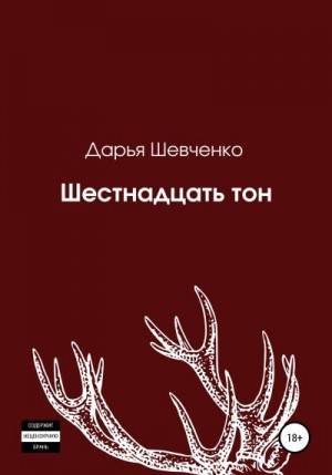 Шевченко Дарья - Шестнадцать тон