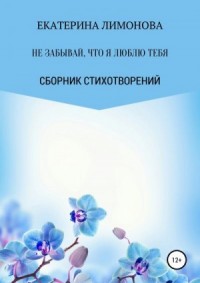 Не забывай, что я люблю тебя