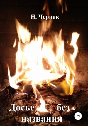 Черняк Н. - Досье без названия
