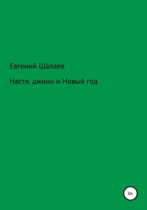 Шалаев Евгений - Настя, джинн и Новый год