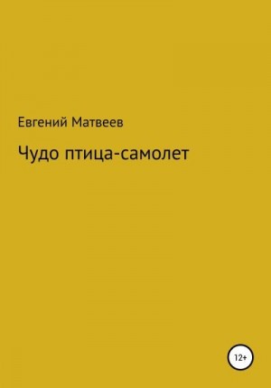 Матвеев Евгений - Чудо птица-самолет