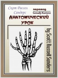 Анатомический урок
