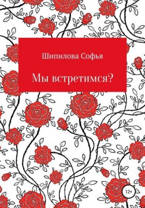 Шипилова Софья - Мы встретимся?