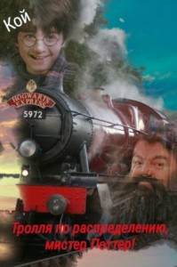 Тролля по распределению, мистер Поттер!