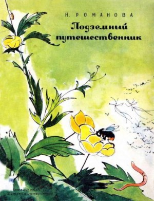 Романова Наталия Игоревна - Подземный путешественник