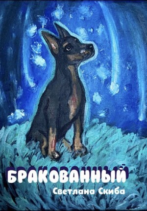 Скиба Светлана - Бракованный