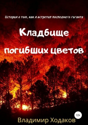 Ходаков Владимир - Кладбище погибших цветов