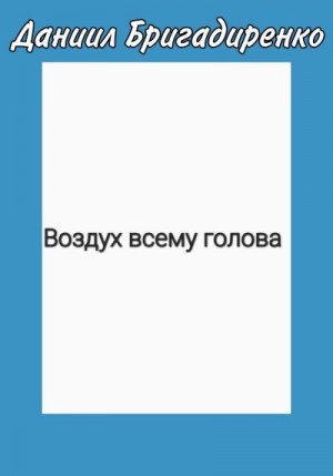 Бригадиренко Даниил - Воздух всему голова