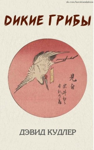Кудлер Дэвид - Дикие грибы
