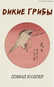 Дикие грибы