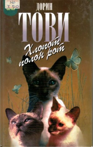 Тови Дорин - Новый мальчик. Хлопот полон рот