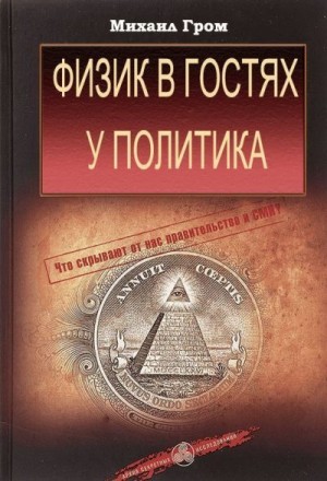 Гром Михаил - Физик в гостях у политика