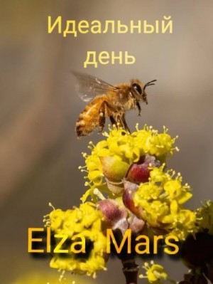 Mars Elza - Идеальный день