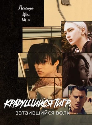 Историй Битва - Крадущийся тигр, затаившийся волк