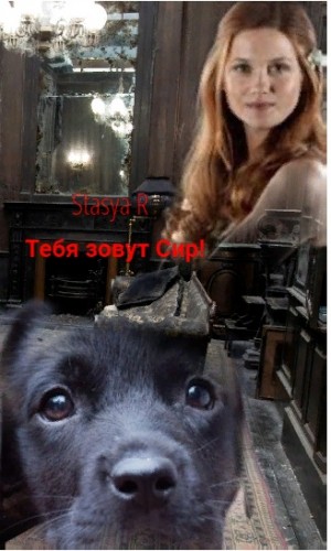 R Stasya - Тебя зовут Сир!