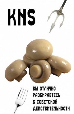 KNS - Вы отлично разбираетесь в советской действительности