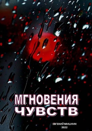 Мишкин Евгений - Мгновения чувств